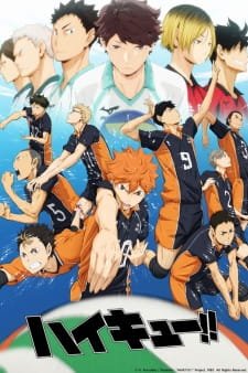 Haikyuu!! (Dub) Poster