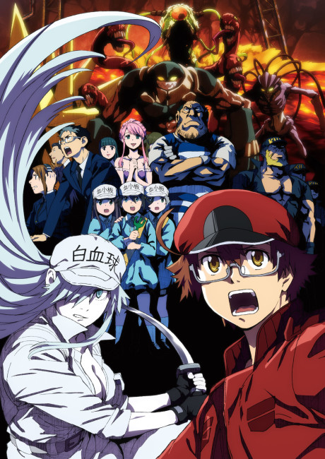 Hataraku Saibou Black (TV) Poster