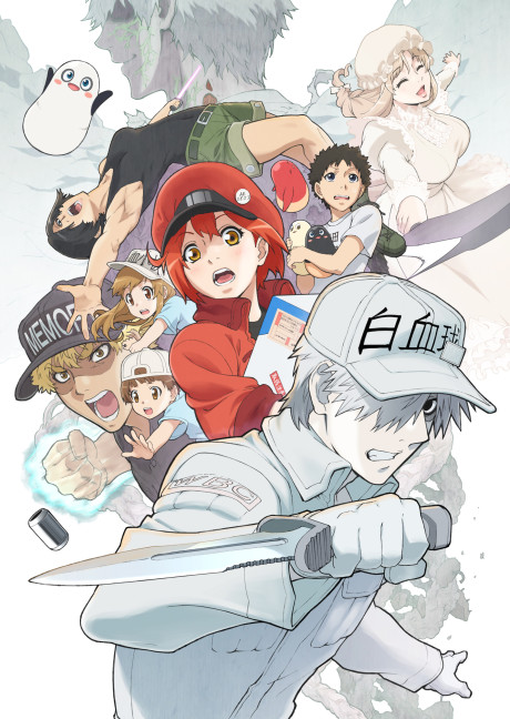 Hataraku Saibou (Dub) Poster