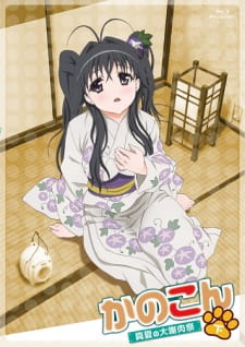 Kanokon: Manatsu no Dai Shanikusai (Dub) Poster