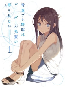 Seishun Buta Yarou wa Bunny Girl Senpai no Yume wo Minai Picture Drama Poster