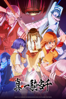 Shin Ikkitousen (Dub) Poster