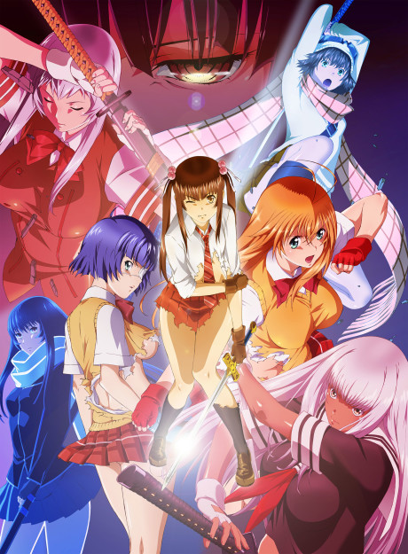 Shin Ikkitousen Poster